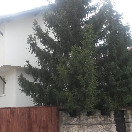 Guest House Khizhina - Easy Home Sapareva Banya Buitenkant foto